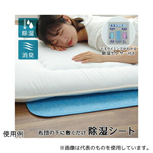 �A�Y���� 1.19255E+12 �����}�b�g 60×110cm