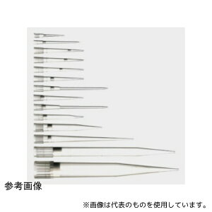 Thermo Scientific Finnpipette 94052300 tB^[ 0.5`200L 1(96{×10bN)