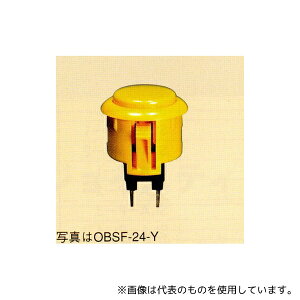 �O�a�d�q OBSF24G �����{�^���X�C�b�` 24mm ��