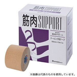 a LN-D50 e[sOpe[v[ؓT|[g] 6