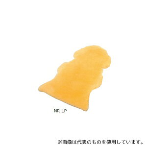 EBY NR-1P ×pV[vXL(i[VObO)650×950mm