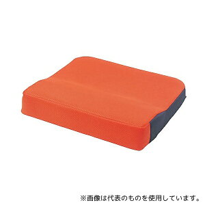 e MSPOR Ԉ֎qNbV(V[|X) IW