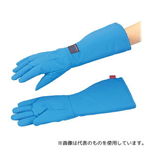 ACVX TS-EBSWP ϊp(h^Cv) S