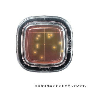 hw ؂`FbN?DD MSEYV|n 1(20) PD0009 1(20)