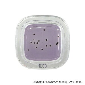 hw PD0015 ؂`FbNHDD MLCBV|n 1(20)