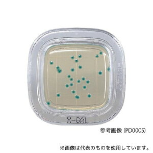 hw PD0005 ؂`FbNHDD X-GALV|n 1(20)