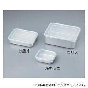 AY pV[e A~ (3.0L) 295×215×65mm