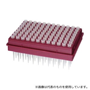 G[EAhEfC AX-CART-10/20 d}CNsybgp`bvJ[gbW 1Zbg(96{×10Zbg)