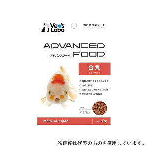 WpybgR~jP[VY AhoXt[h 