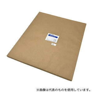 ADVANTEC 13485 萫h No.1 100