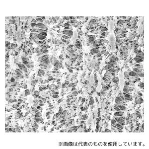 Merck JVWP01300 Omnipore disc PTFE philic 0.1��m 13mm wh pln 100/Pk 100PK