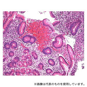 Merck 1.09249.0500 }C[w}gLVFt p 109249 500ML
