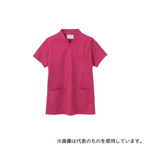 Zu 72-624 S WPbg jp  o[KfB