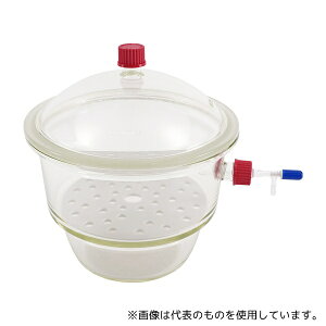 ēcȊw ˂fVP[^[  240mm 1