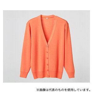 fB[tFCY D1001 RsJ[fBK IW 3L