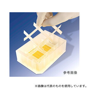 Thermo scientific 1064-15-6 I[g[VpU[o[ 96ch fB[v^Cv ŋۍ 1(20)