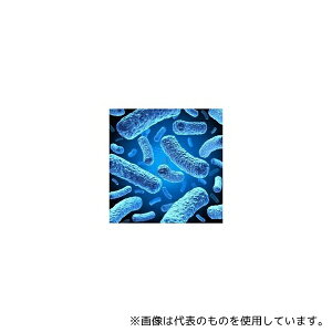 NVG(�����N) 69450-3 BL21(DE3) Competent Cells