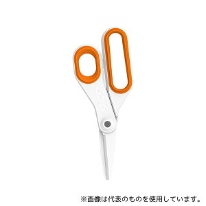 XCX 10545 Z~bN [WnT~