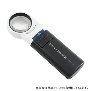 GbVFobn 1511-12 LEDChCg[y 12.5{