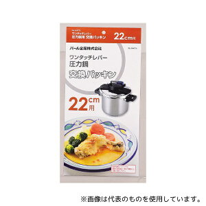 p[ H-9773 ^b`o[͓pbL 22cmp