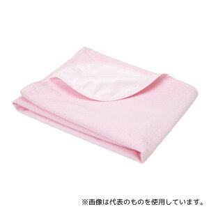 fBJ Ci hV[c ȃpC CgsN