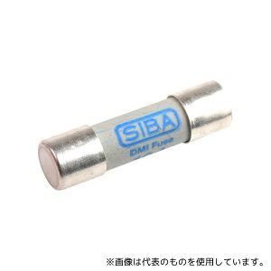 SIBA 50-199-06/10A (�V�o) �ǃq���[�Y 10A 10x38mm 1kV ac/dc