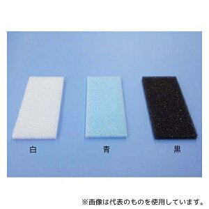 ɉp쏊 1006-9 oCIV[g BK()1(1000)