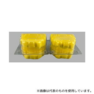 MȎY f{bNXL^Cv 2A 1Zbg 2ۊ