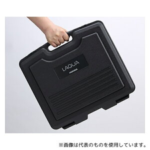 HORIBA CC-WQ-300 LAQUA WQ-300p LOP[X