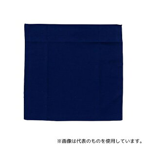 東レ トレシー メガネ クリーニングクロス 19×19cm ネイビー