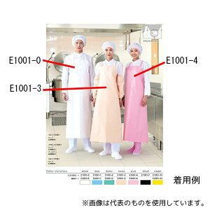 RE E1001-3-LF }CeBNXHGv  | t@Co[ L x[W