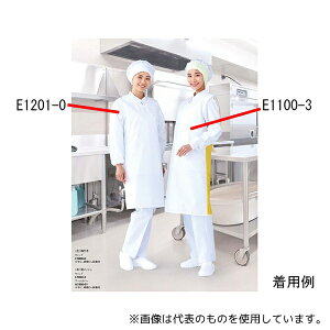 RE E1100-2G ZVAHGv m[X[u チbV^Cv S^Cv O[