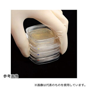 GbNX SASA-48 X^v|nSA FuhEیp