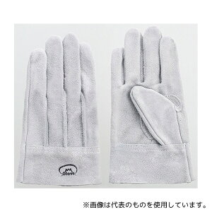 xmO[u 1611 wD WXg 1P[X(10o)