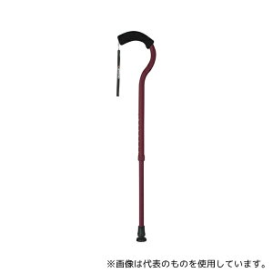 tWz[ WB3886 t~SN Lk o[KfB