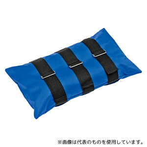 g[GCCg B2449 egEGCgobO 10