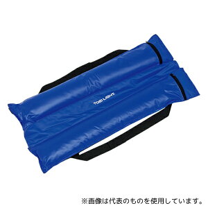 g[GCCg B2450 ThEGC gS10