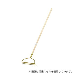 g[GCCg B6450 {[[L(5{1g)