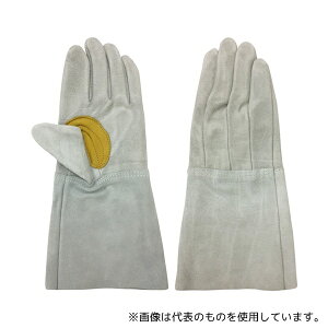 ACE() AG051Y vnڗp 5{w 