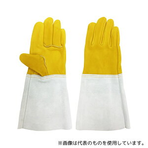 ACE() AG502 NXg nڗp 5{w