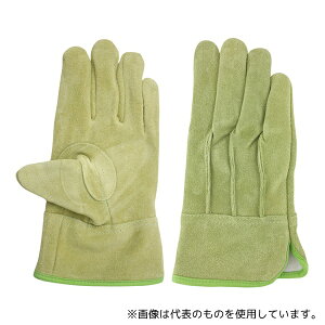 ACE() AG2553-M nq v IC OD  C pMTCY