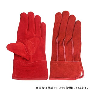 ACE() AG2555-S nq v IC OD  bh pSTCY