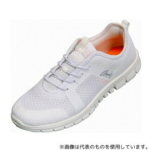 _C}c AN0901 A[mhp[}[ fB[X Xj[J[ zCg 24.0cm