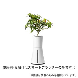 BOTANIUM BOTANIUM-WT 自動で水やり、手間なく育てるスマートプランター