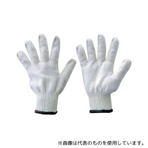 gXRR TCG60010-1P ȌR 10Q[W 1o ڕt600g