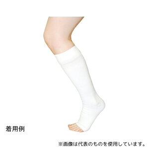 x[eEvX SVE02S \tB[VE XgO zCg STCY 2{