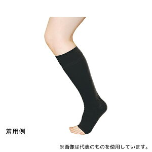 x[eEvX SVE12M \tB[VE XgO ubN MTCY 2{