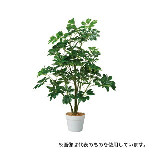 AY 61-806-82-1 VFt(tFCNO[ lH)100cm