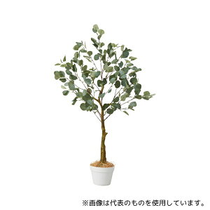 AY 61-806-83-1 [J(tFCNO[ lH)115cm