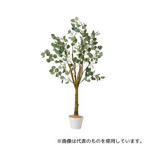 AY 61-806-83-2 [J(tFCNO[ lH)135cm